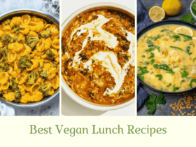 Best Vegan Lunch Recipes