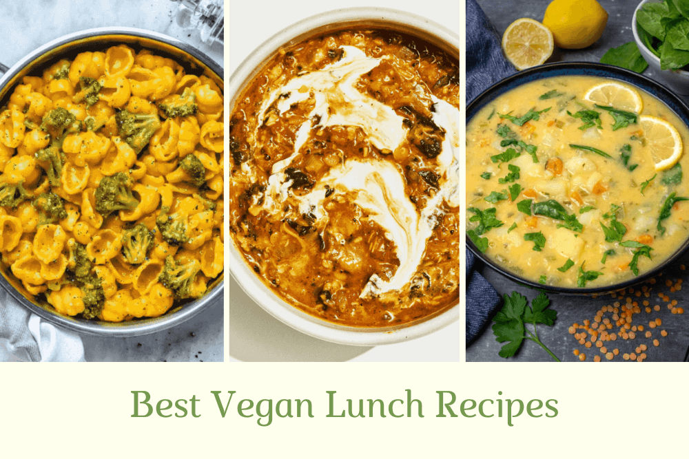 Best Vegan Lunch Recipes